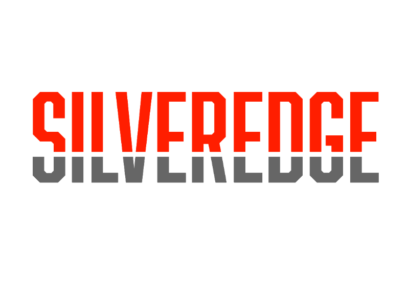 SilverEdge Government Solutions